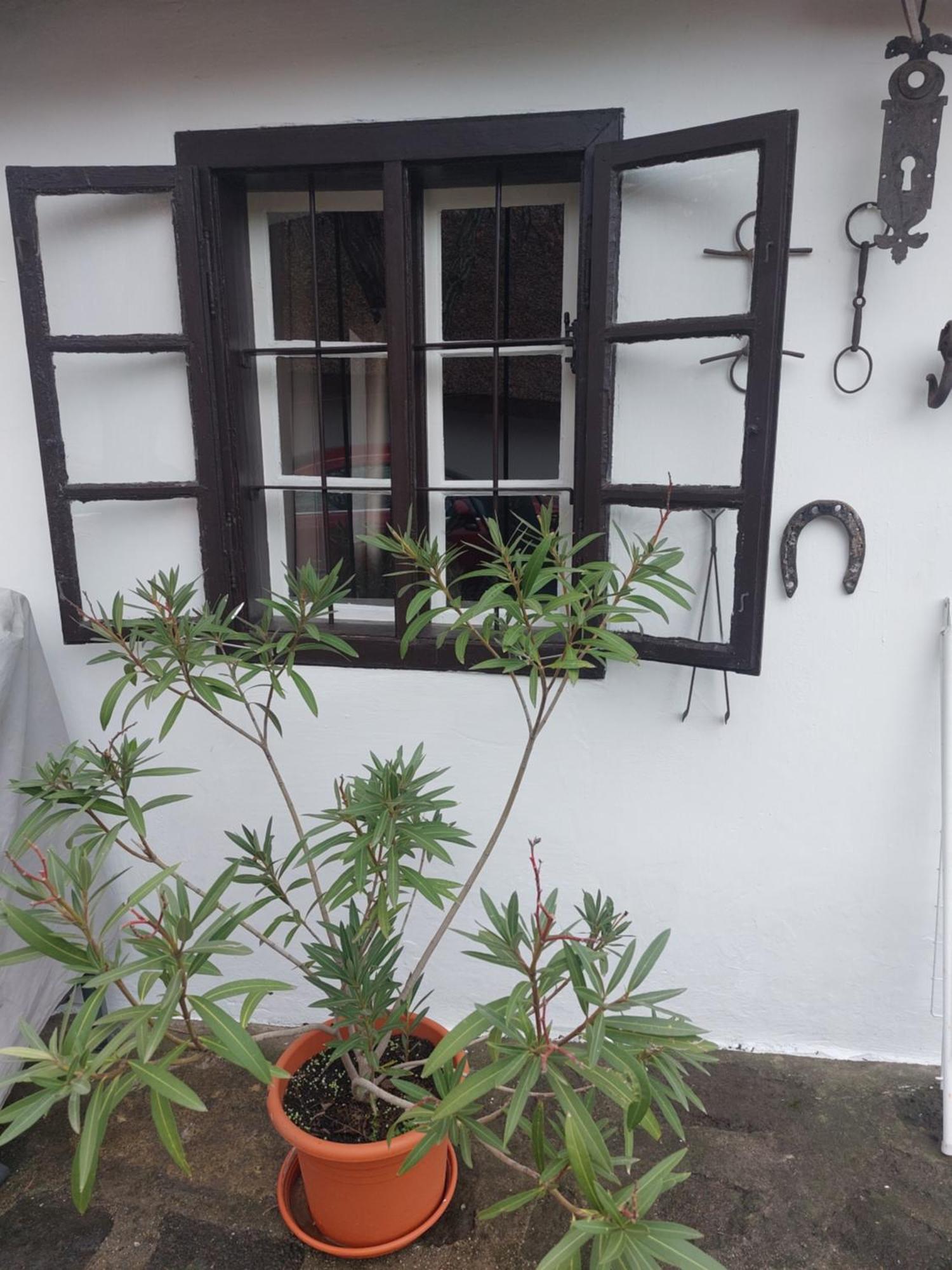 Babamuzeum Apartman Tihany Luaran gambar
